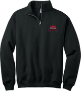 Philadelphia Resistance NuBlend 1/4-Zip Cadet Collar Sweatshirt