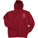 University of Tampa Ultimate Cotton - Pullover Hooded Sweatshirt